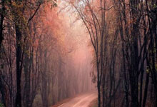 天涯社区娱乐圈八卦大爆料