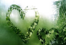 天涯社区娱乐圈八卦大爆料