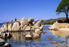 天涯社区娱乐圈八卦大爆料